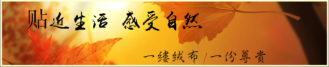 深圳采購植絨布，金峰盛給你實惠產品